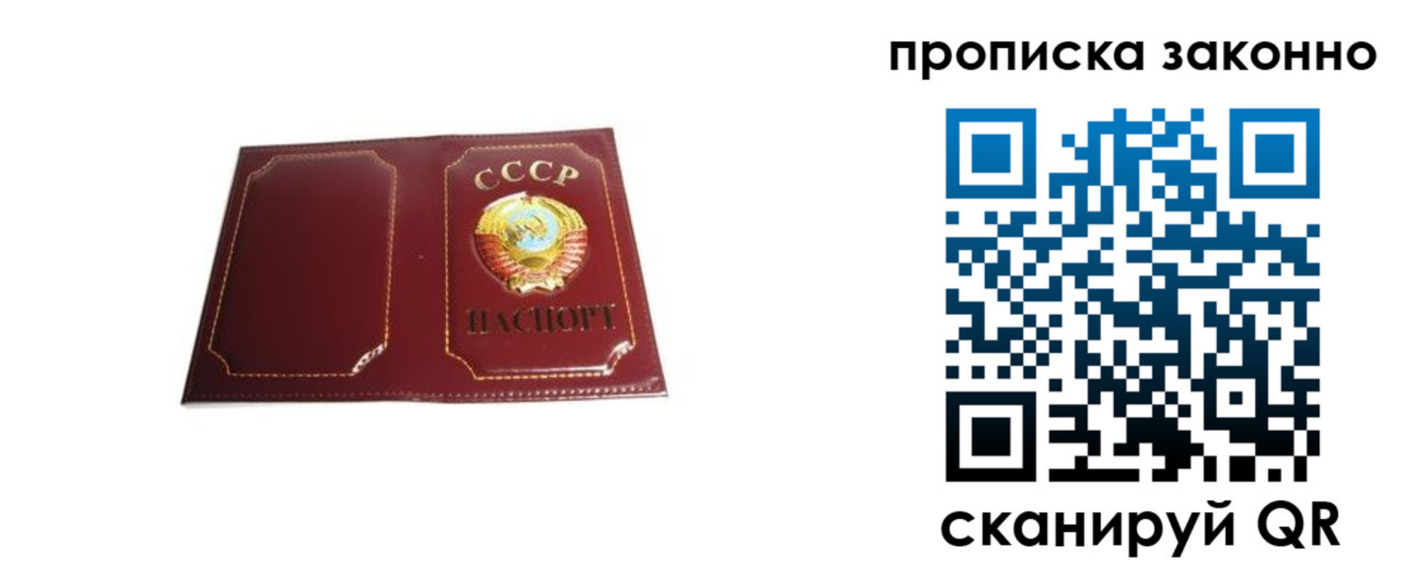 прописка законно в Лосино-Петровском